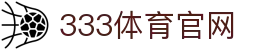 333体育官方网站App下载 - 官方正版安装包